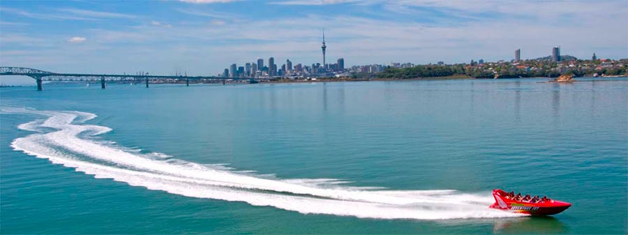NZ View