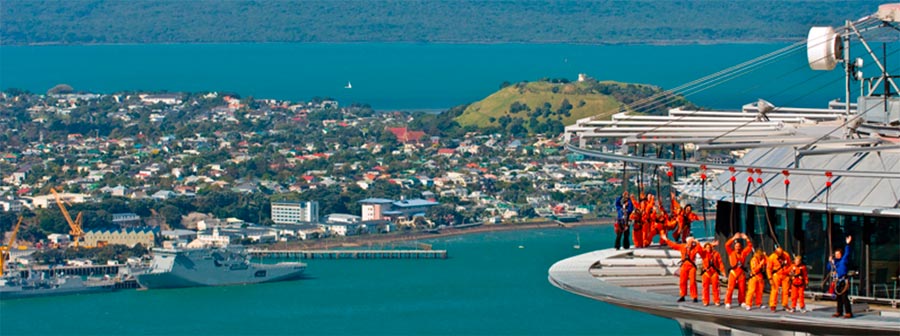 Auckland Sky view