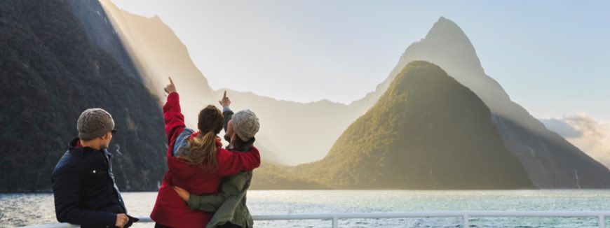 NZ View